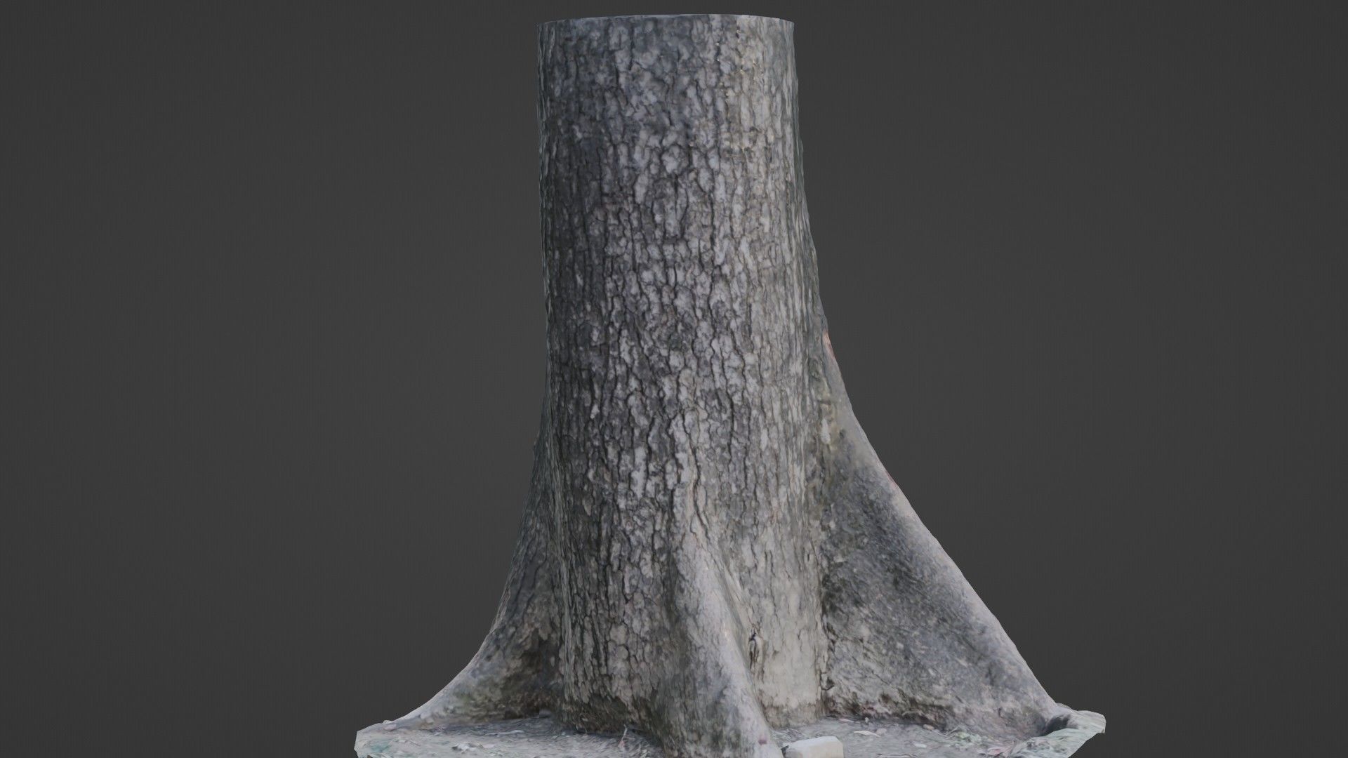 Gaint trunk Low-poly 3D model_6