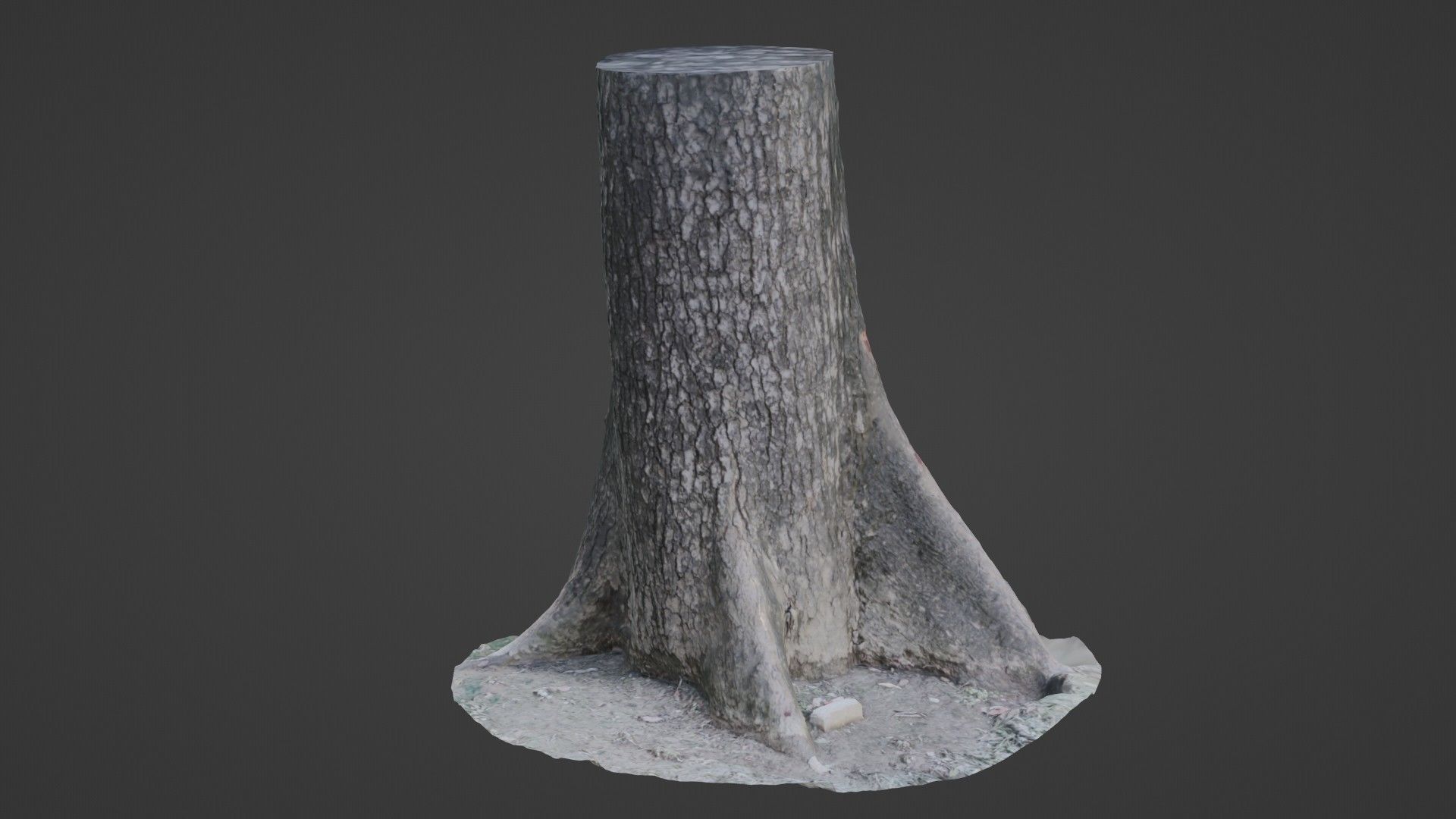 Gaint trunk Low-poly 3D model_5