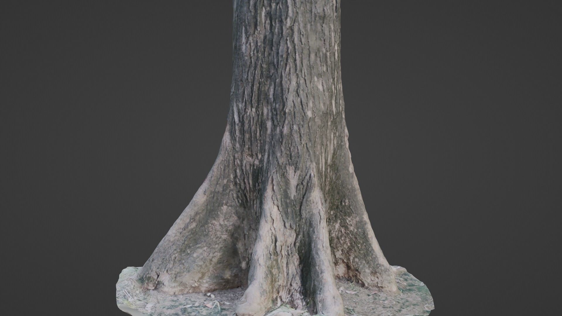 Gaint trunk Low-poly 3D model_1