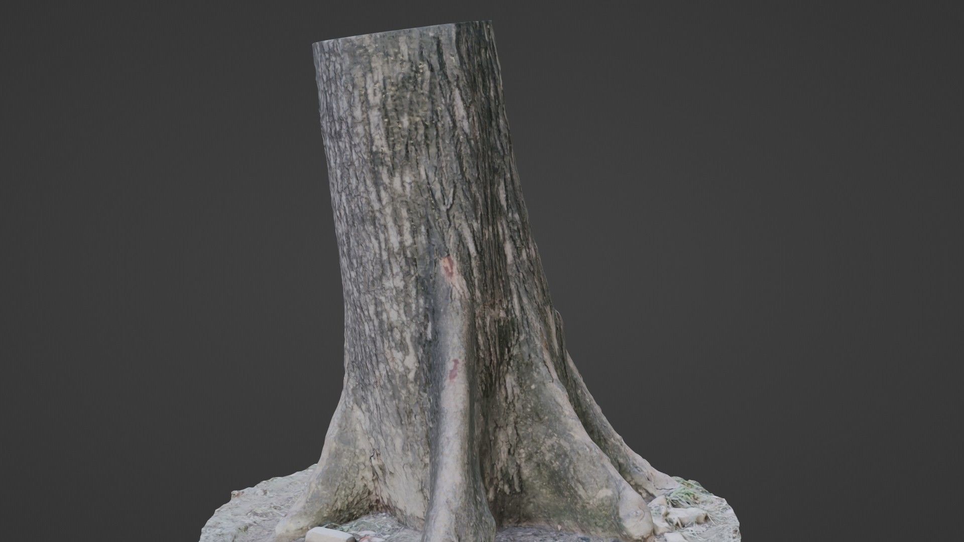 Gaint trunk Low-poly 3D model_7