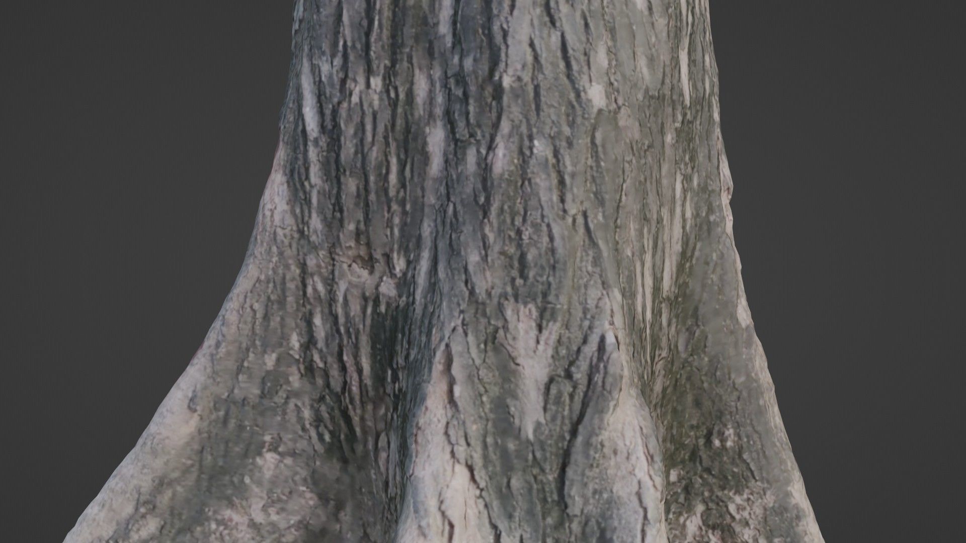 Gaint trunk Low-poly 3D model_3