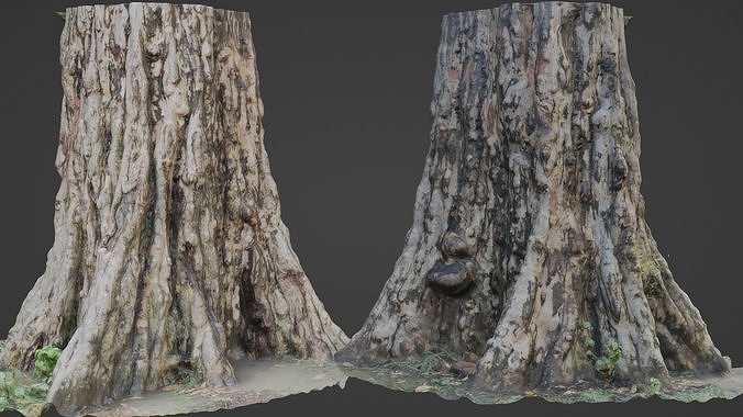 Tree scan Low-poly 3D model