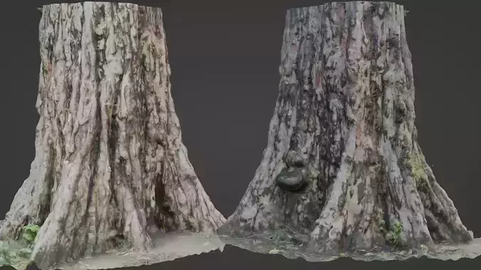 Tree scan