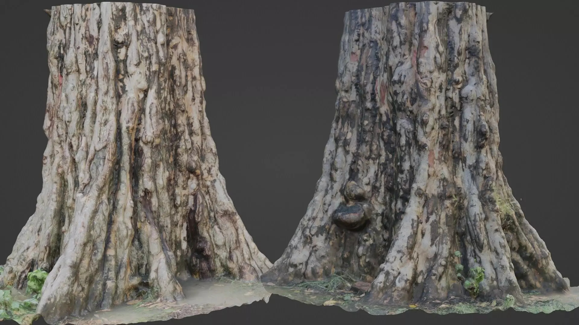 Tree scan Low-poly 3D model_0