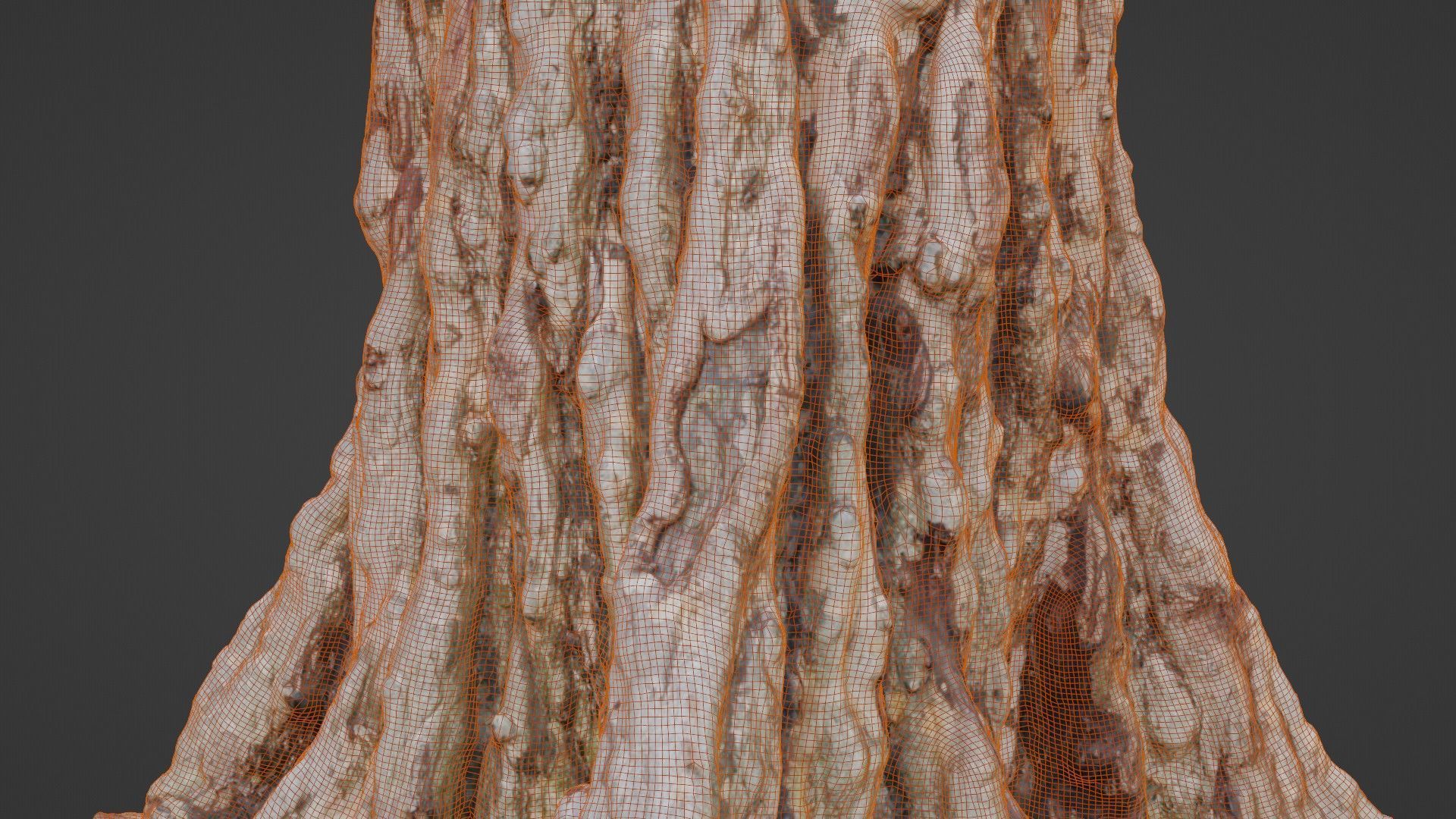 Tree scan Low-poly 3D model_4