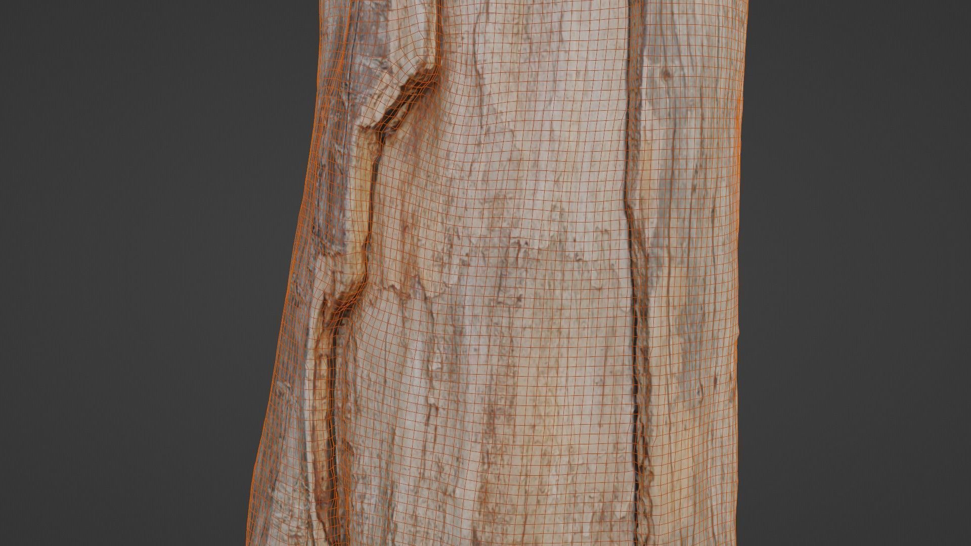 Trunk Low-poly 3D model_4