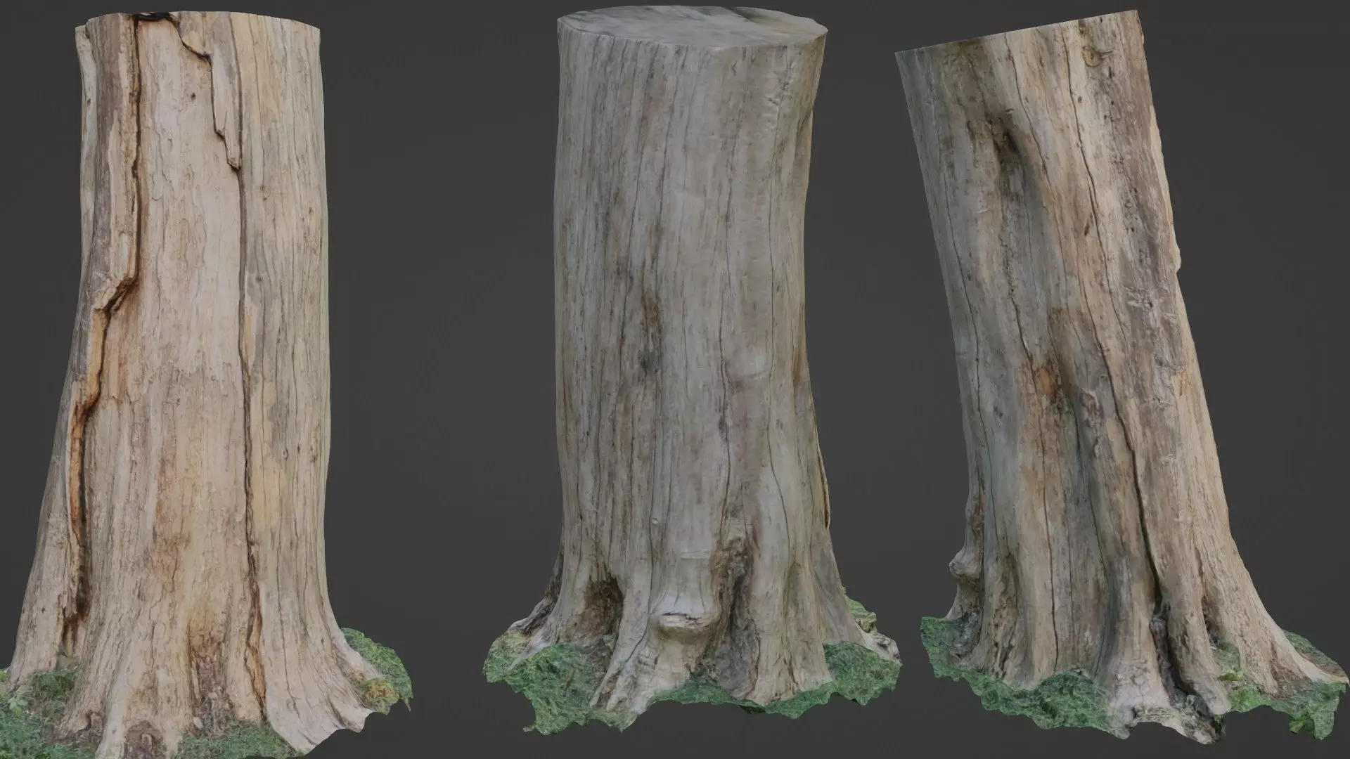 Trunk Low-poly 3D model_0