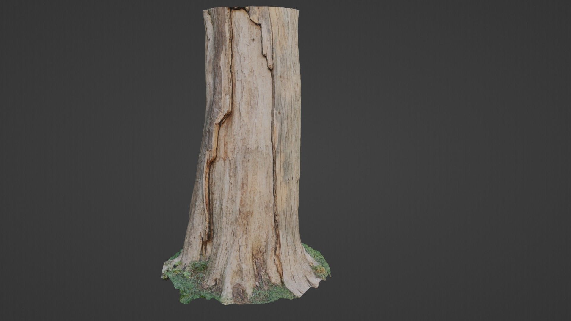 Trunk Low-poly 3D model_1
