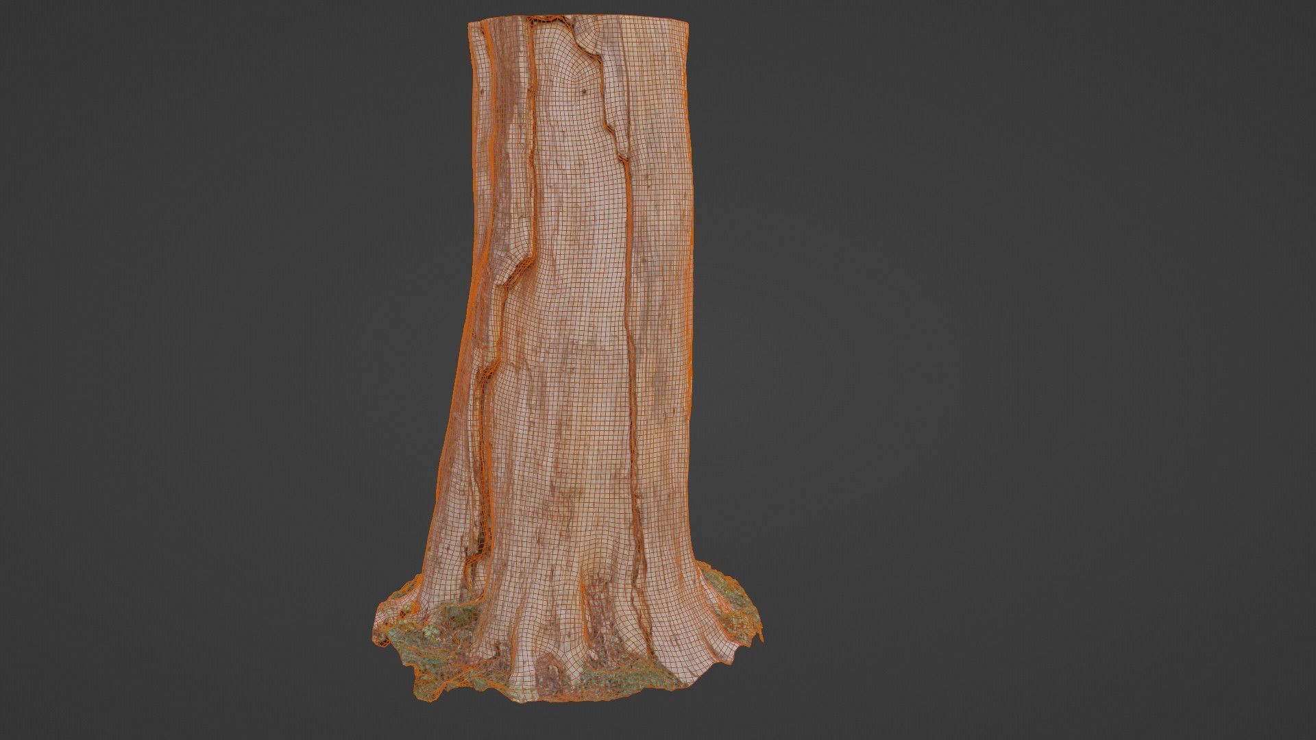 Trunk Low-poly 3D model_2