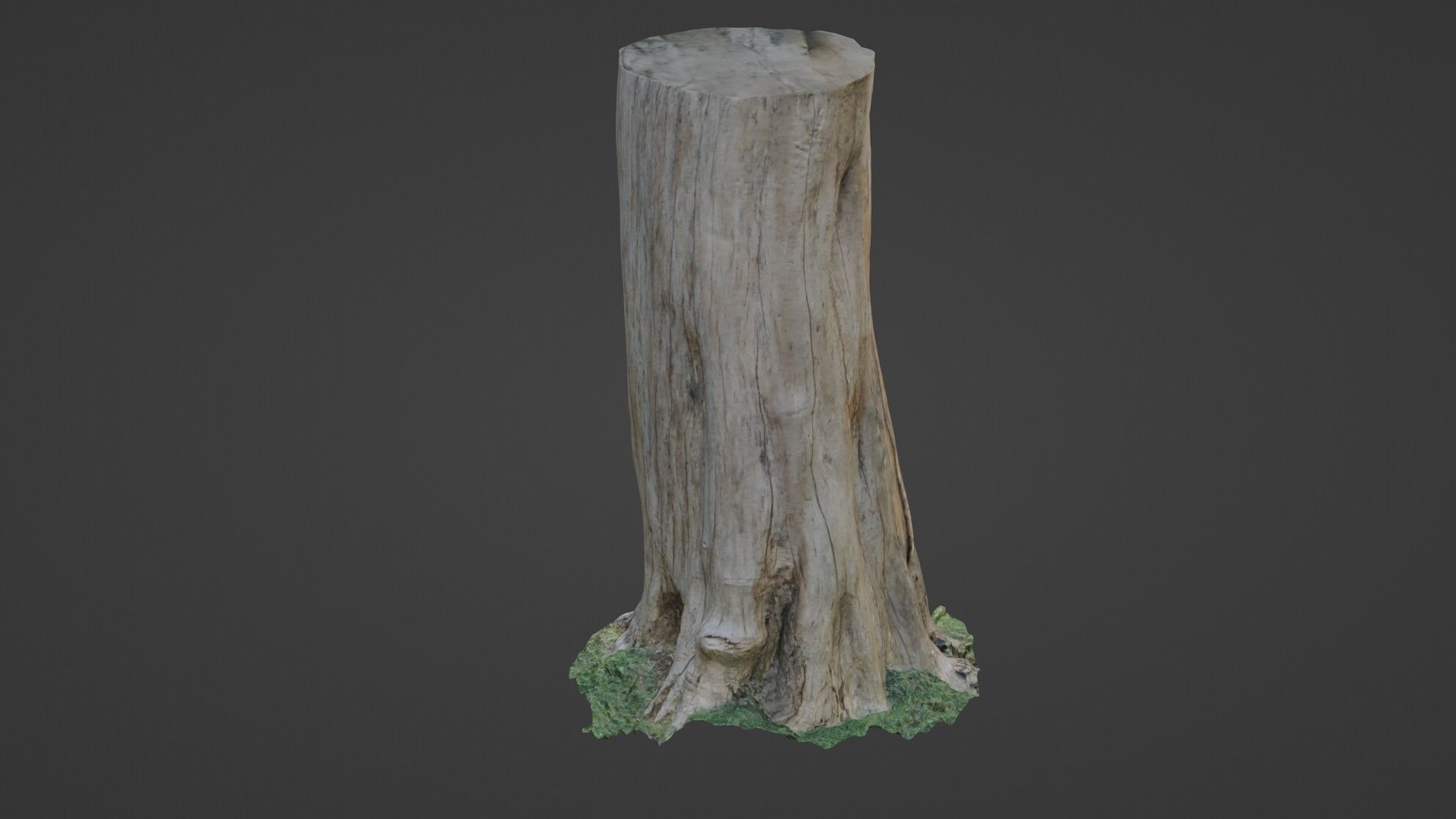 Trunk Low-poly 3D model_5