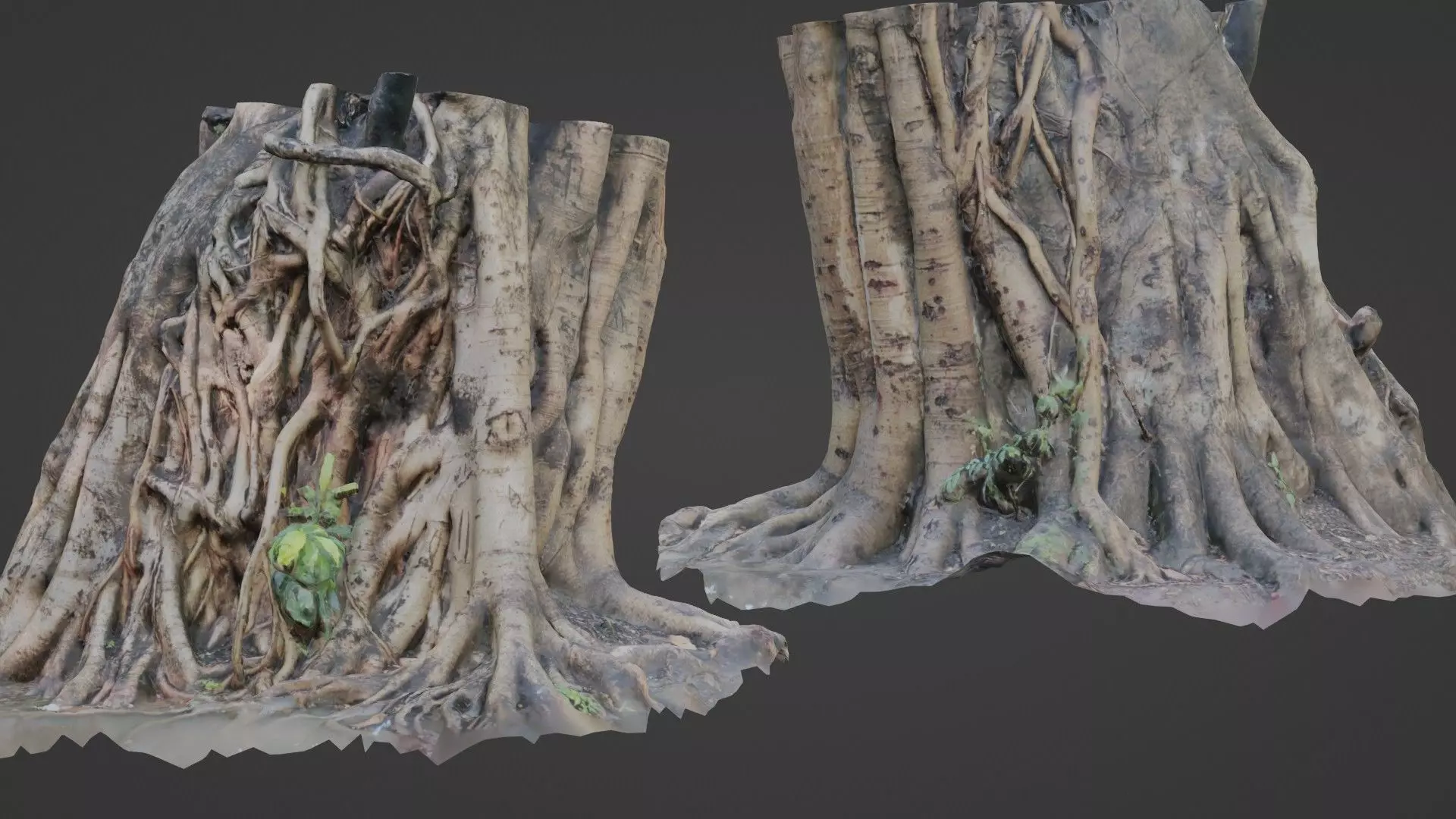 Uprooted tree trunk Low-poly 3D model_0