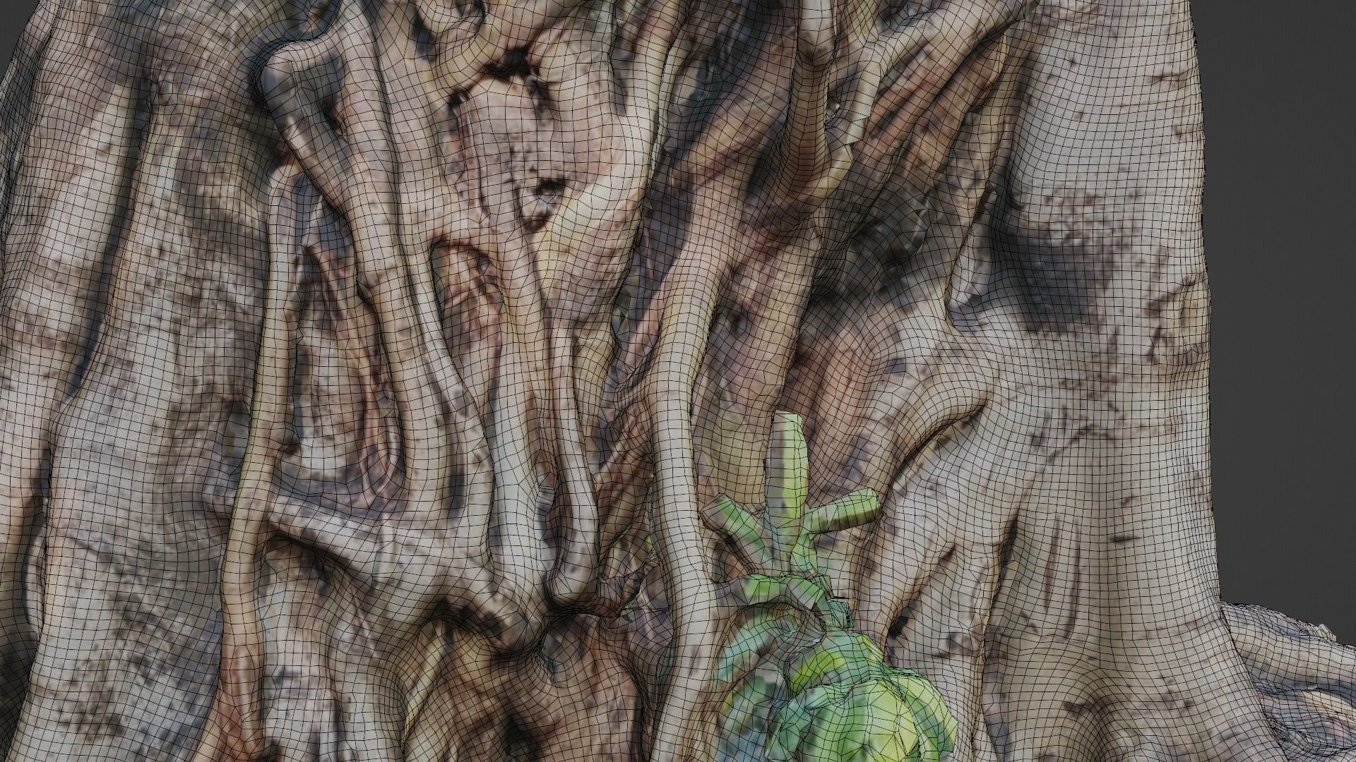 Uprooted tree trunk Low-poly 3D model_4