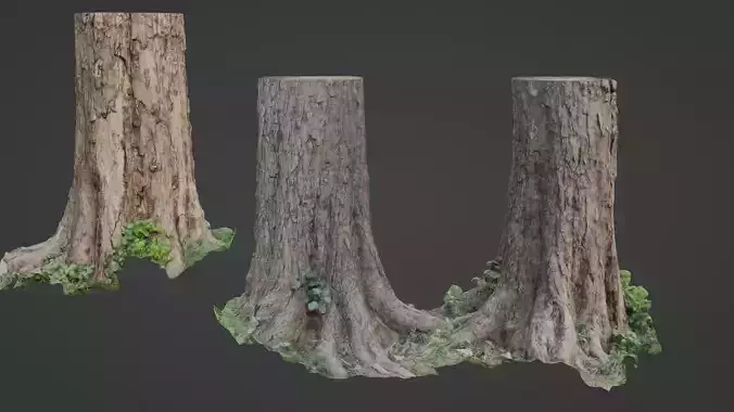 Scan Tree