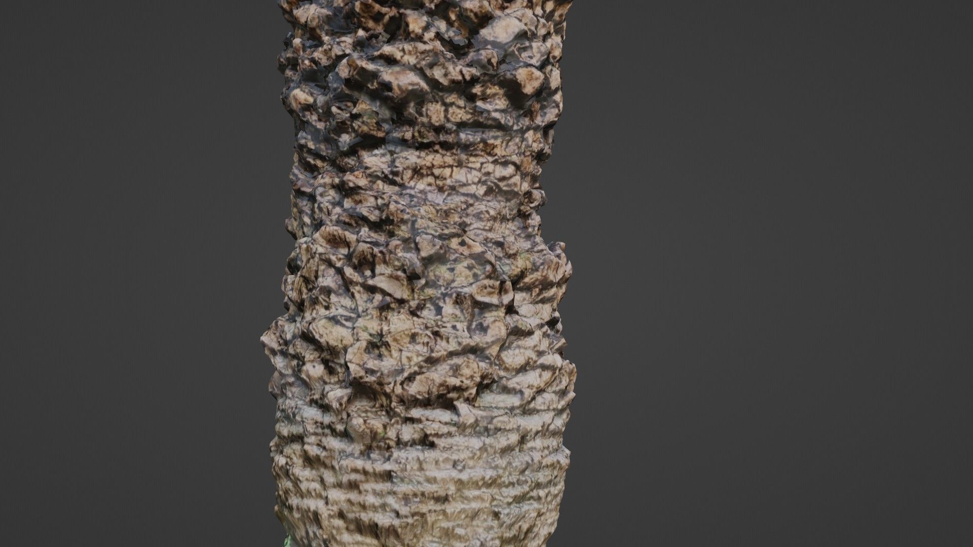 Palm tree Low-poly 3D model_10