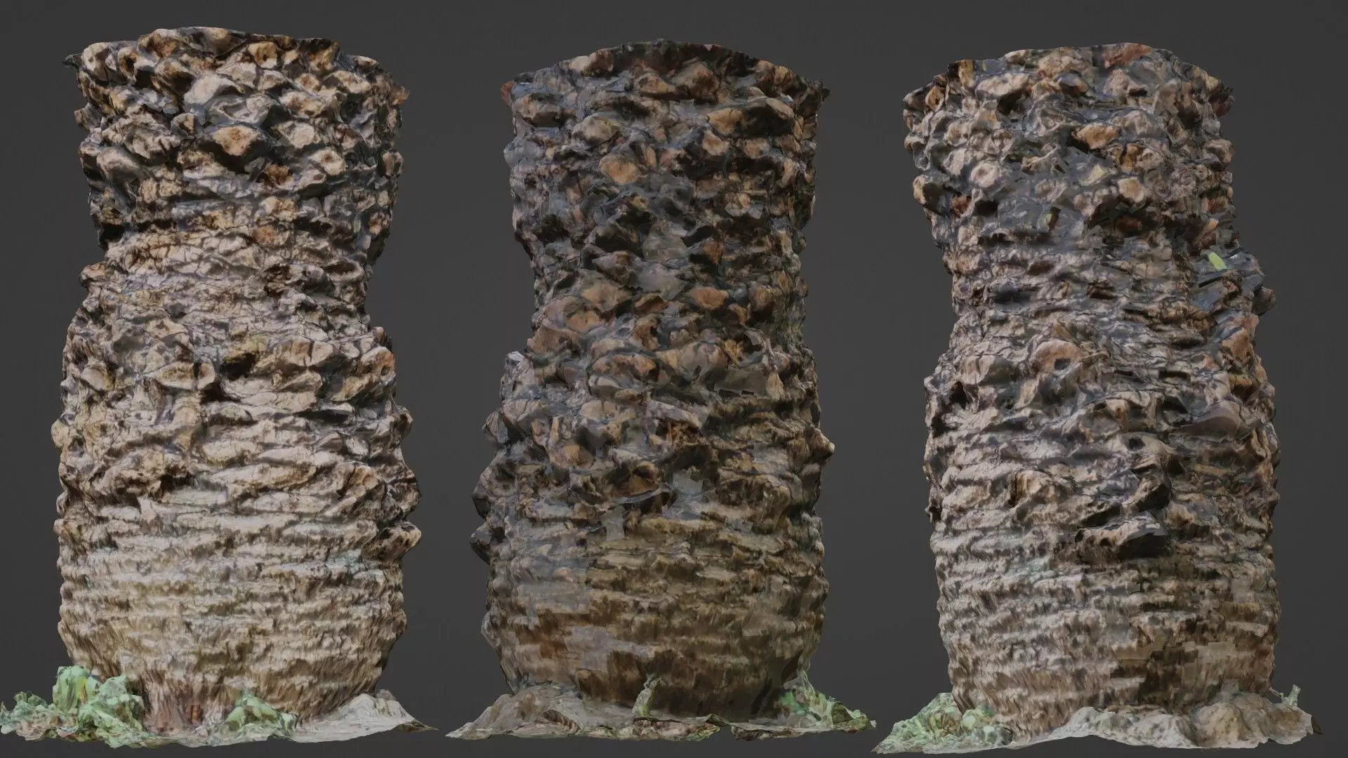 Palm tree Low-poly 3D model_0