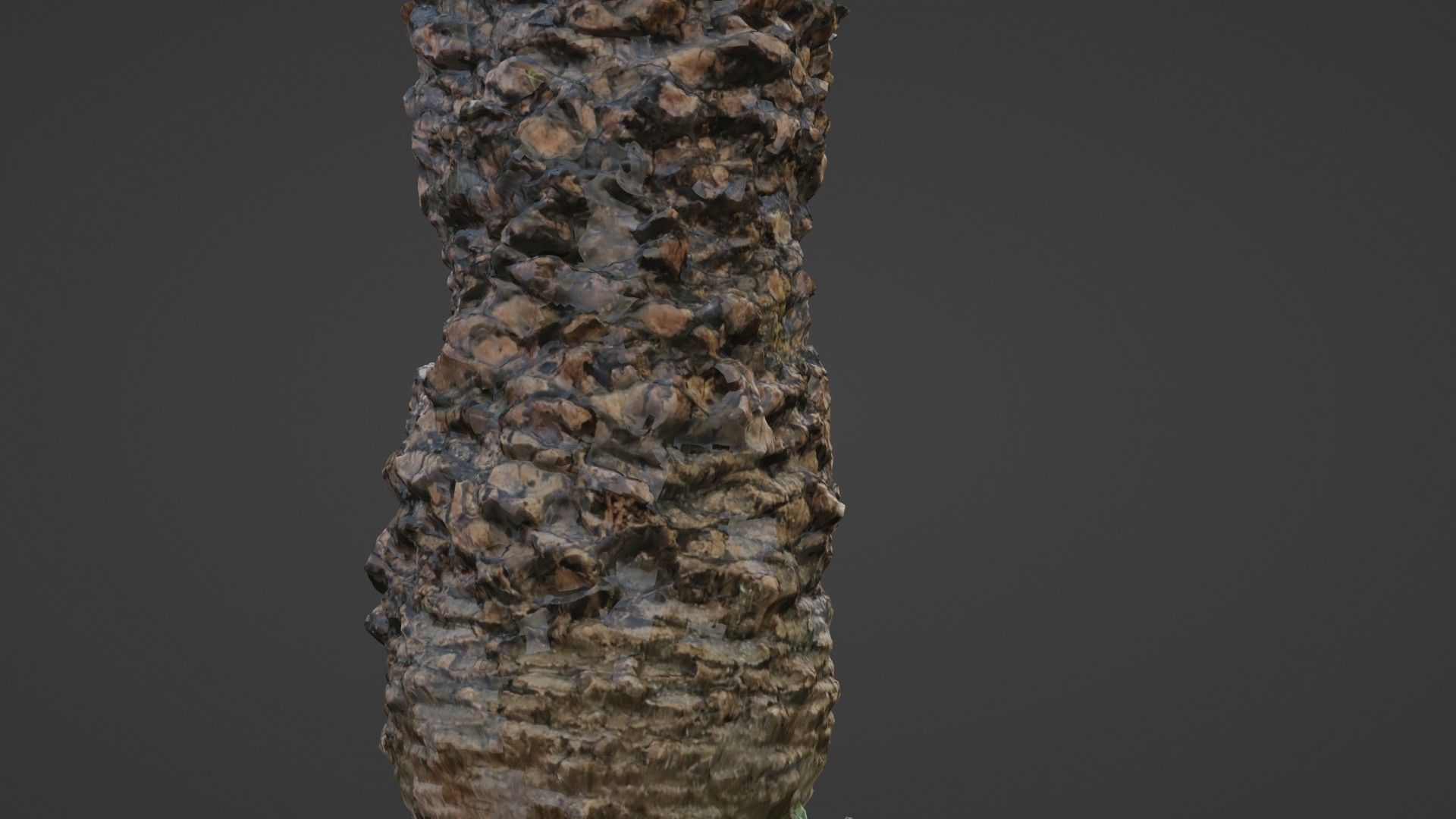 Palm tree Low-poly 3D model_8