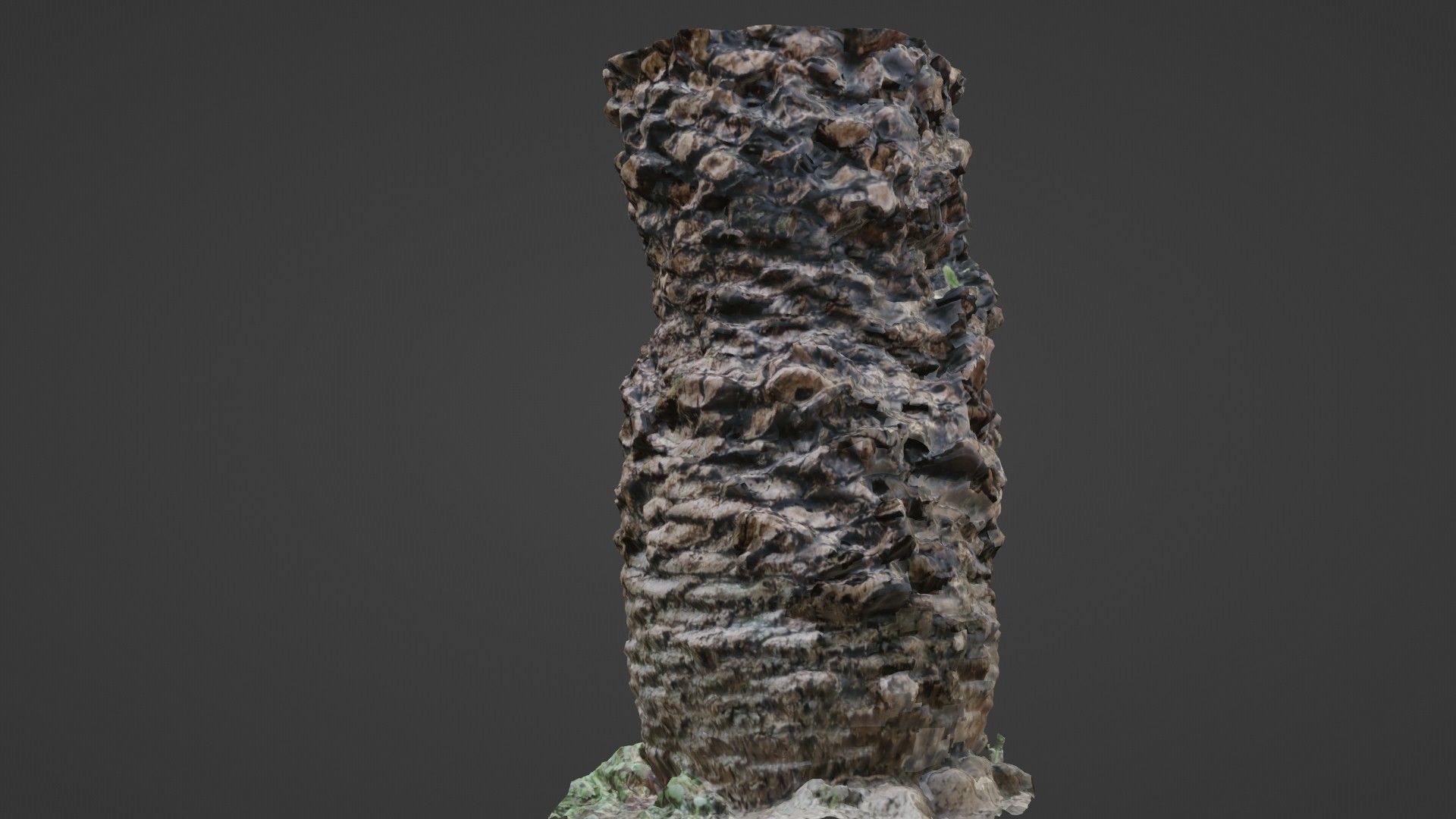 Palm tree Low-poly 3D model_7