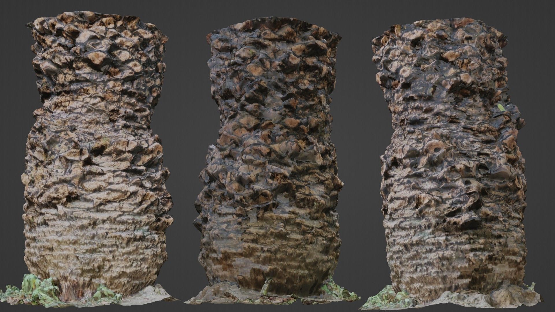 Palm tree Low-poly 3D model_14