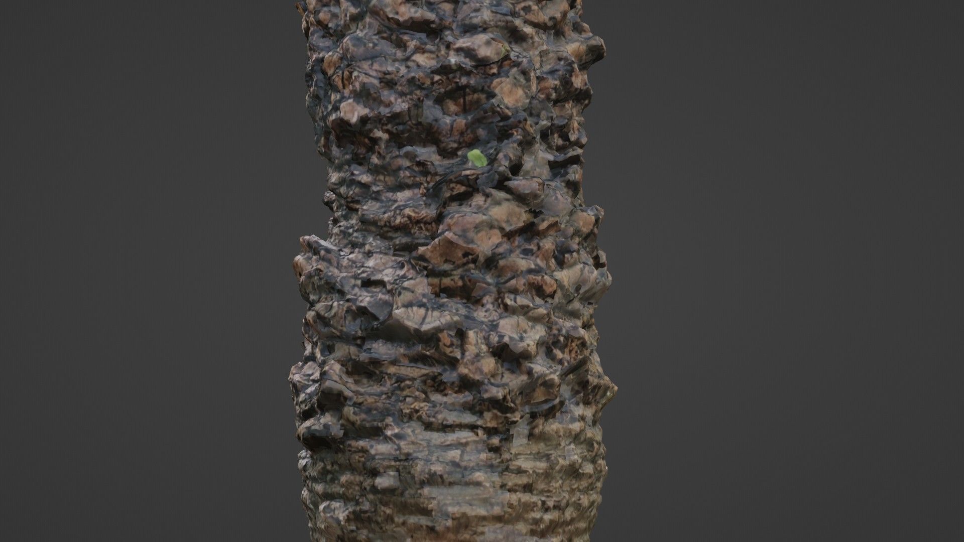 Palm tree Low-poly 3D model_6