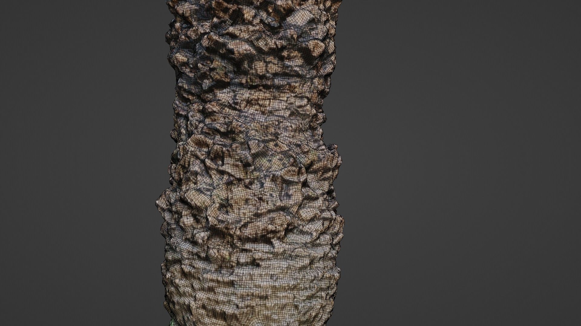 Palm tree Low-poly 3D model_2