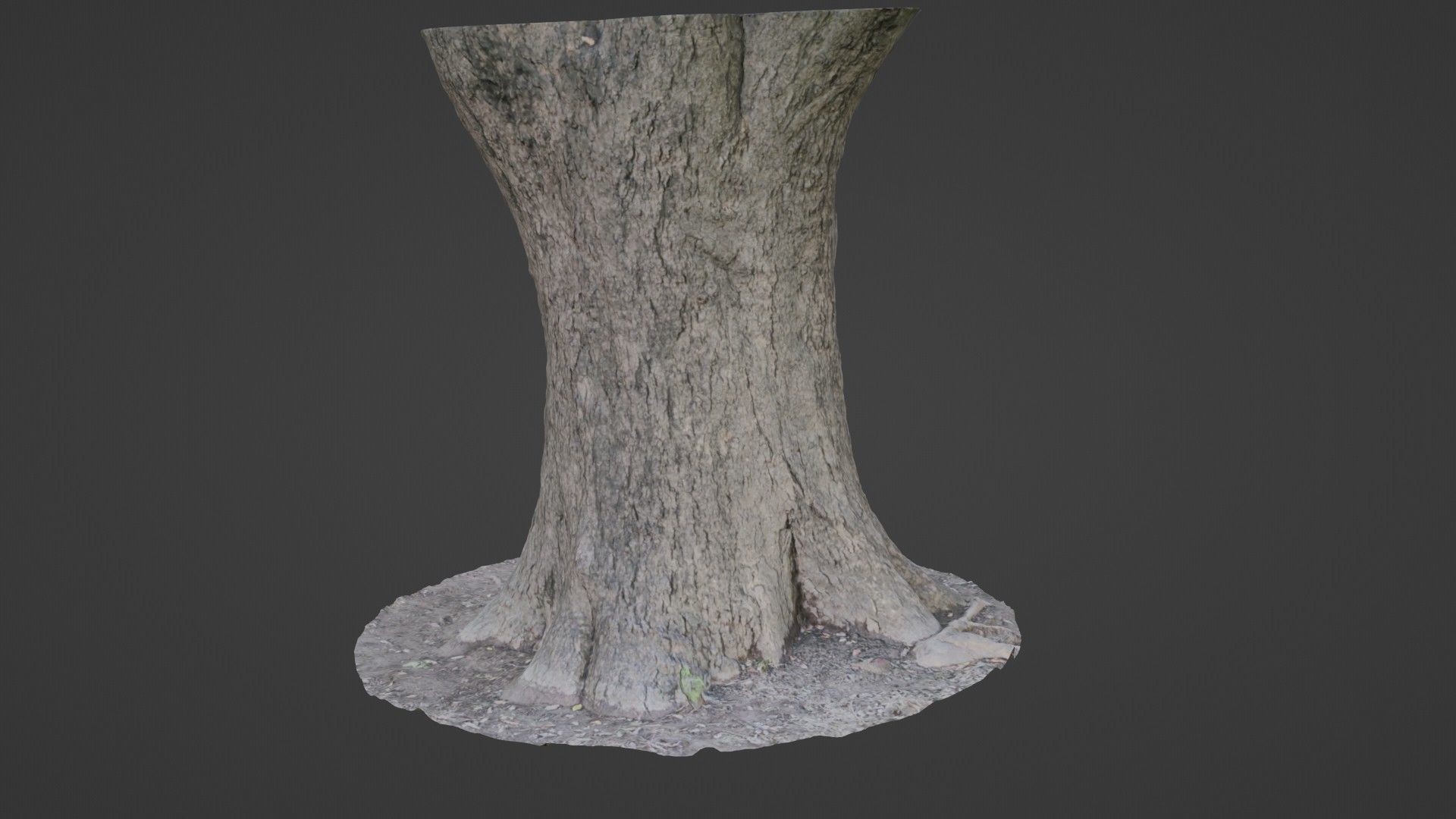 Big Trunk scan Low-poly 3D model_1