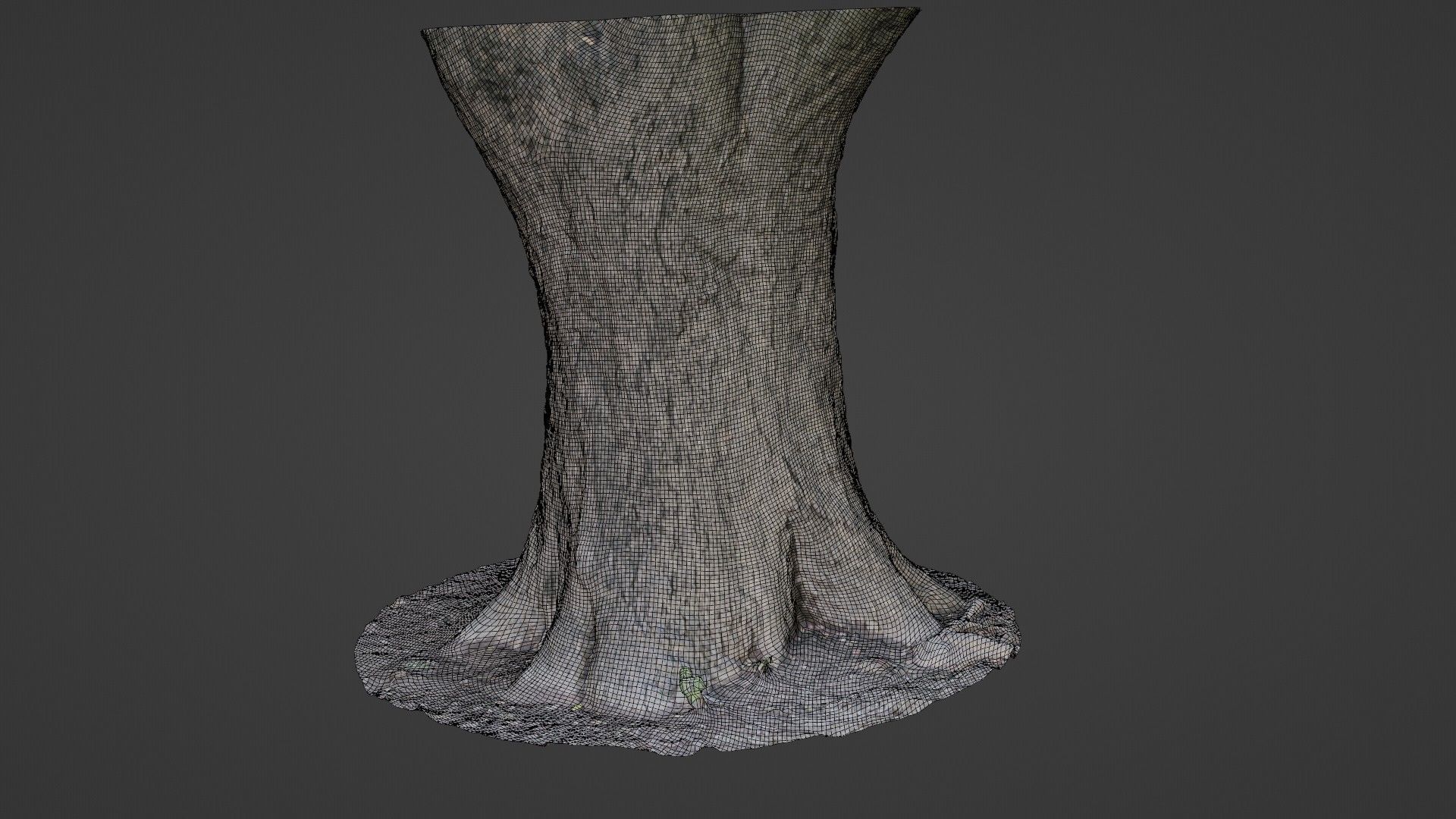 Big Trunk scan Low-poly 3D model_2