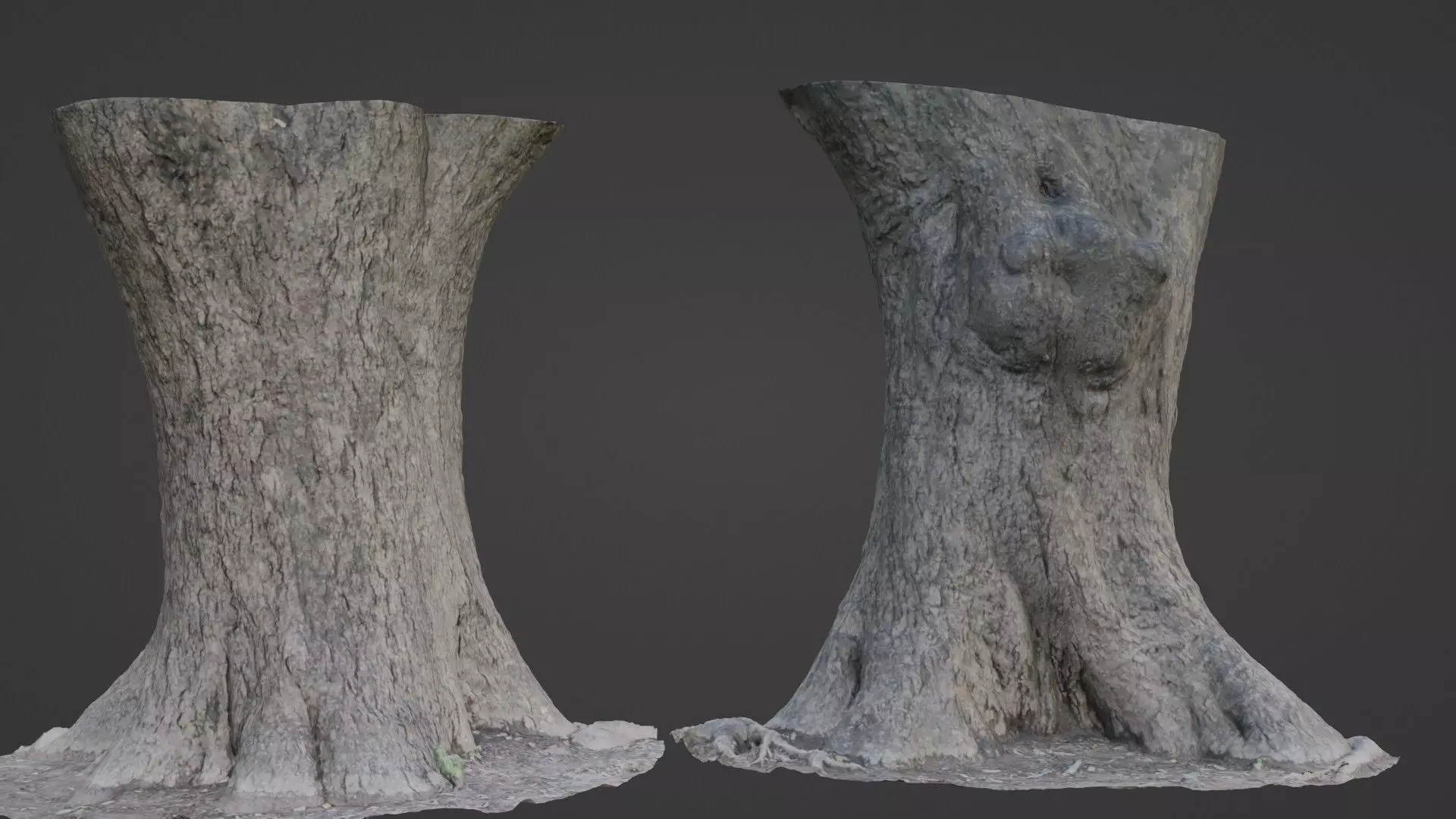 Big Trunk scan Low-poly 3D model_0