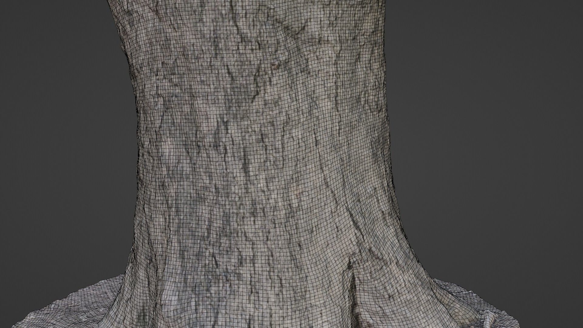 Big Trunk scan Low-poly 3D model_4