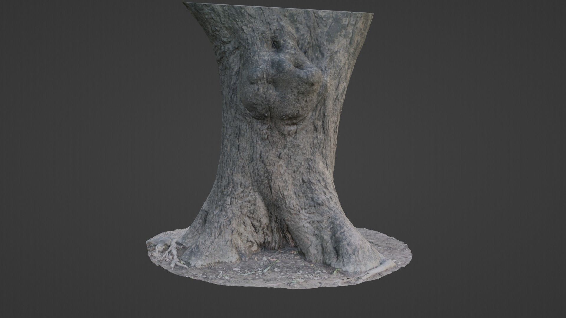 Big Trunk scan Low-poly 3D model_5