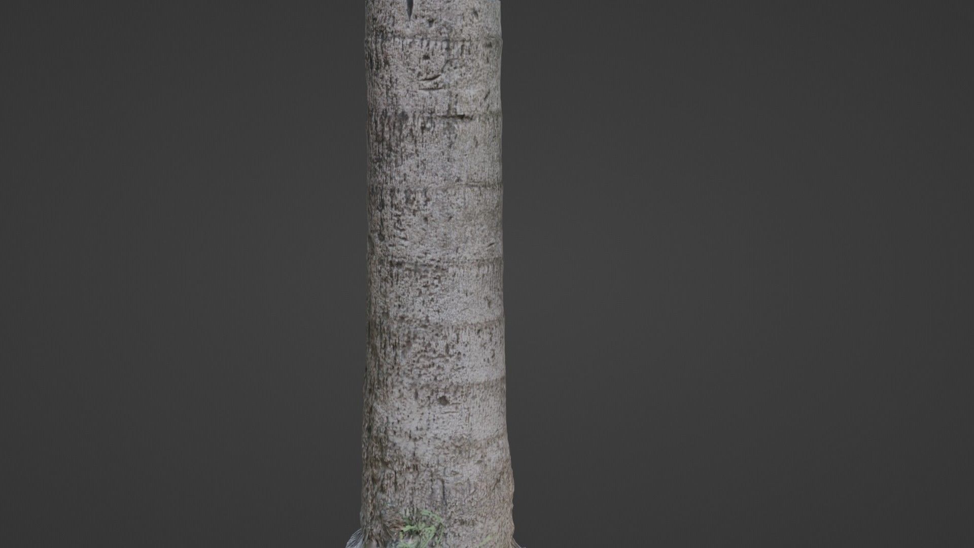 Tree scan Low-poly 3D model_1