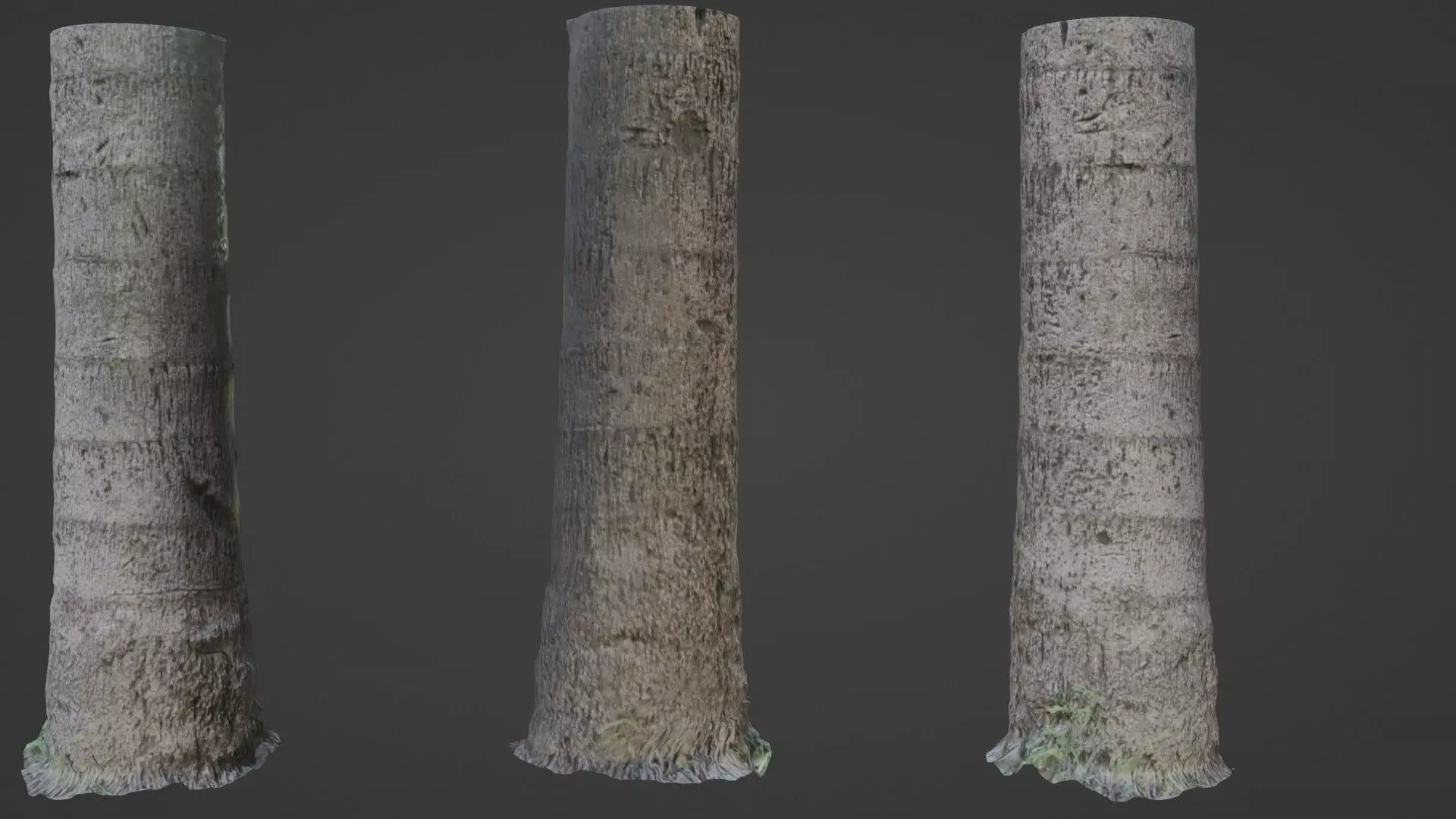 Tree scan Low-poly 3D model_0
