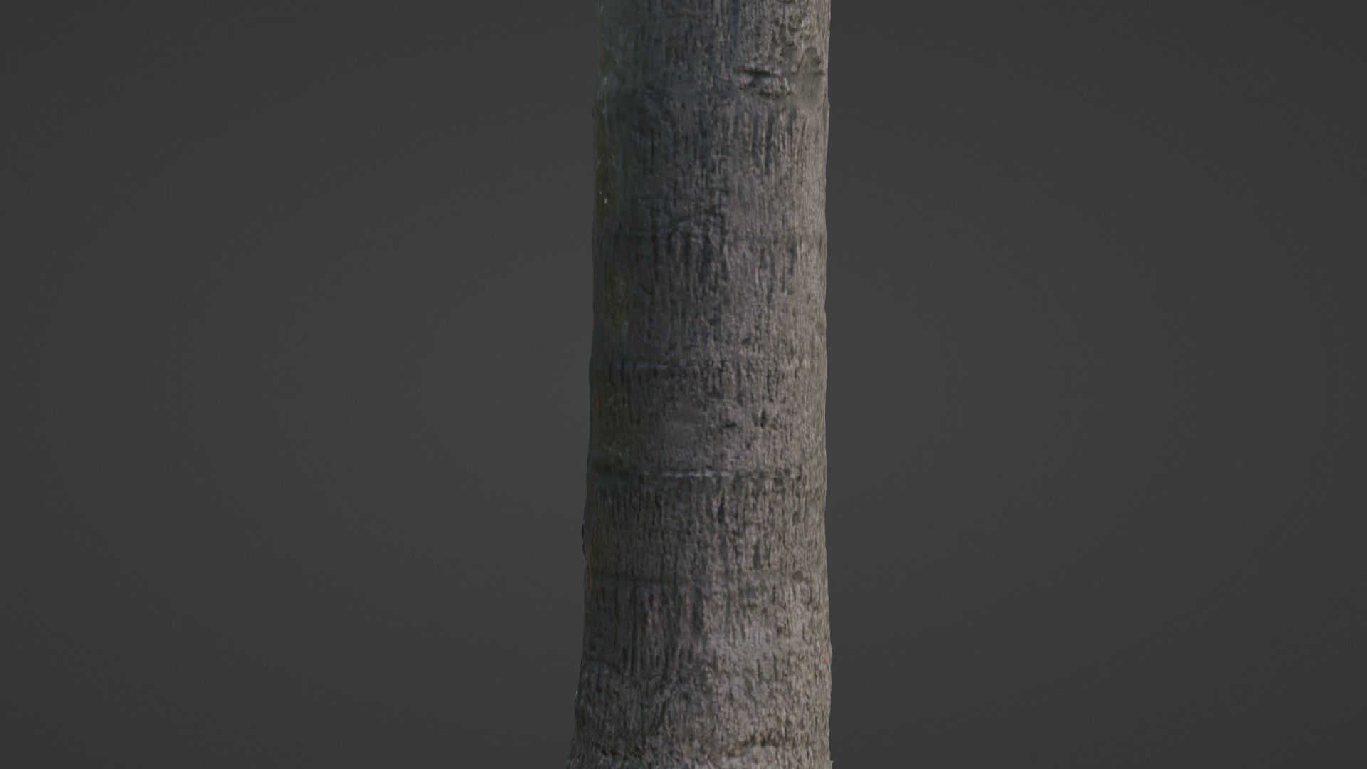 Tree scan Low-poly 3D model_7
