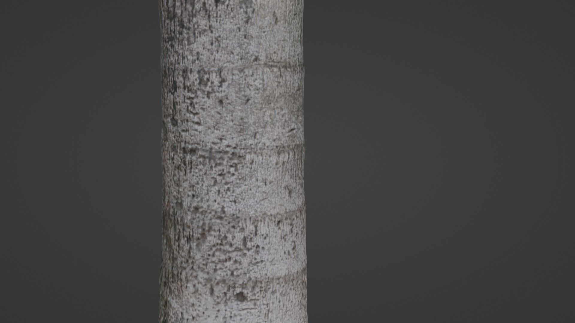Tree scan Low-poly 3D model_3