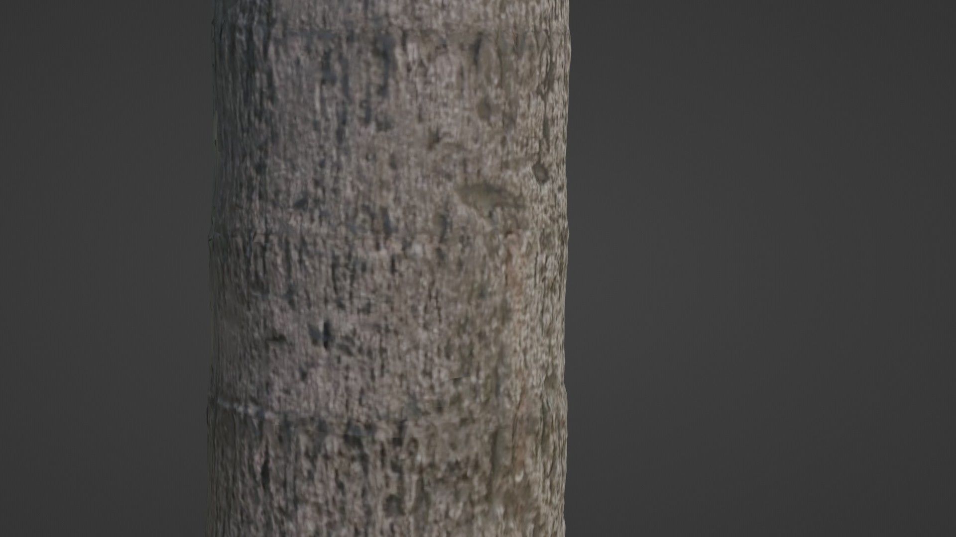 Tree scan Low-poly 3D model_6