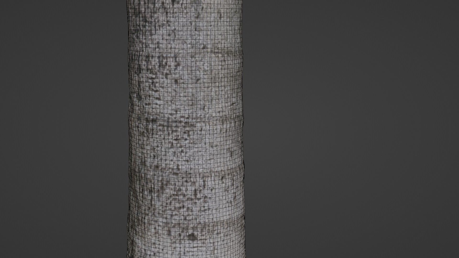 Tree scan Low-poly 3D model_4