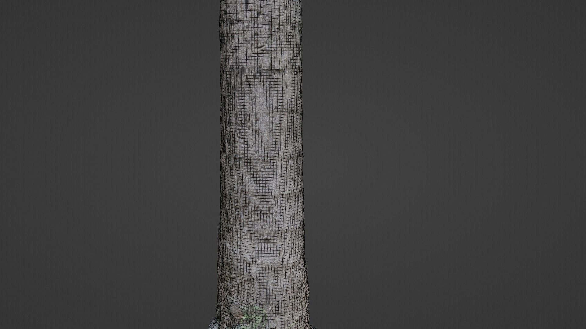Tree scan Low-poly 3D model_2
