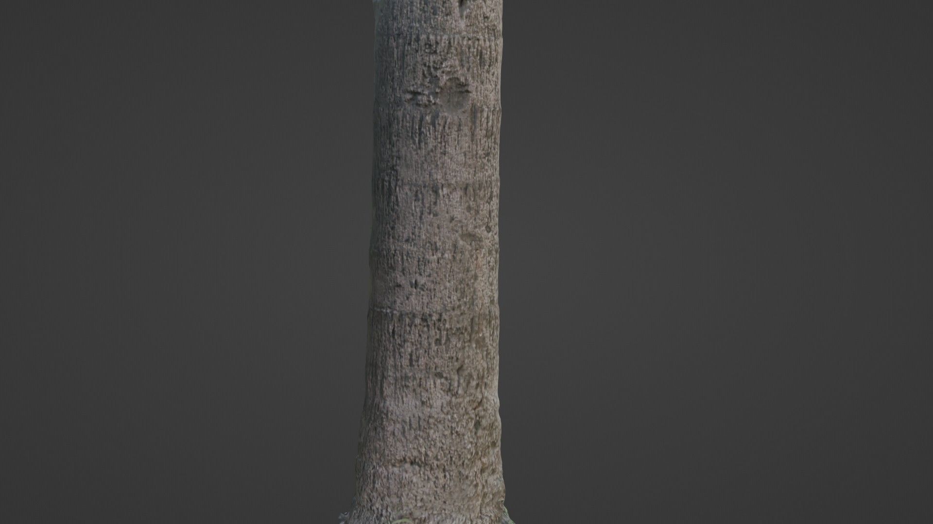 Tree scan Low-poly 3D model_5