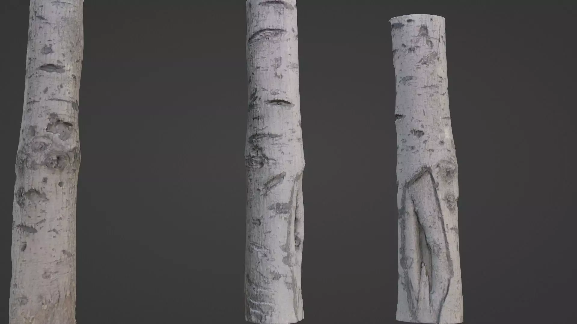 Birch Tree Bark Low-poly 3D model_0