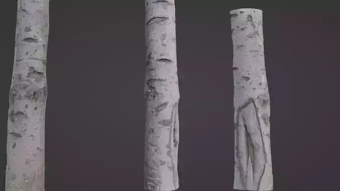 Birch Tree Bark Low-poly 3D model