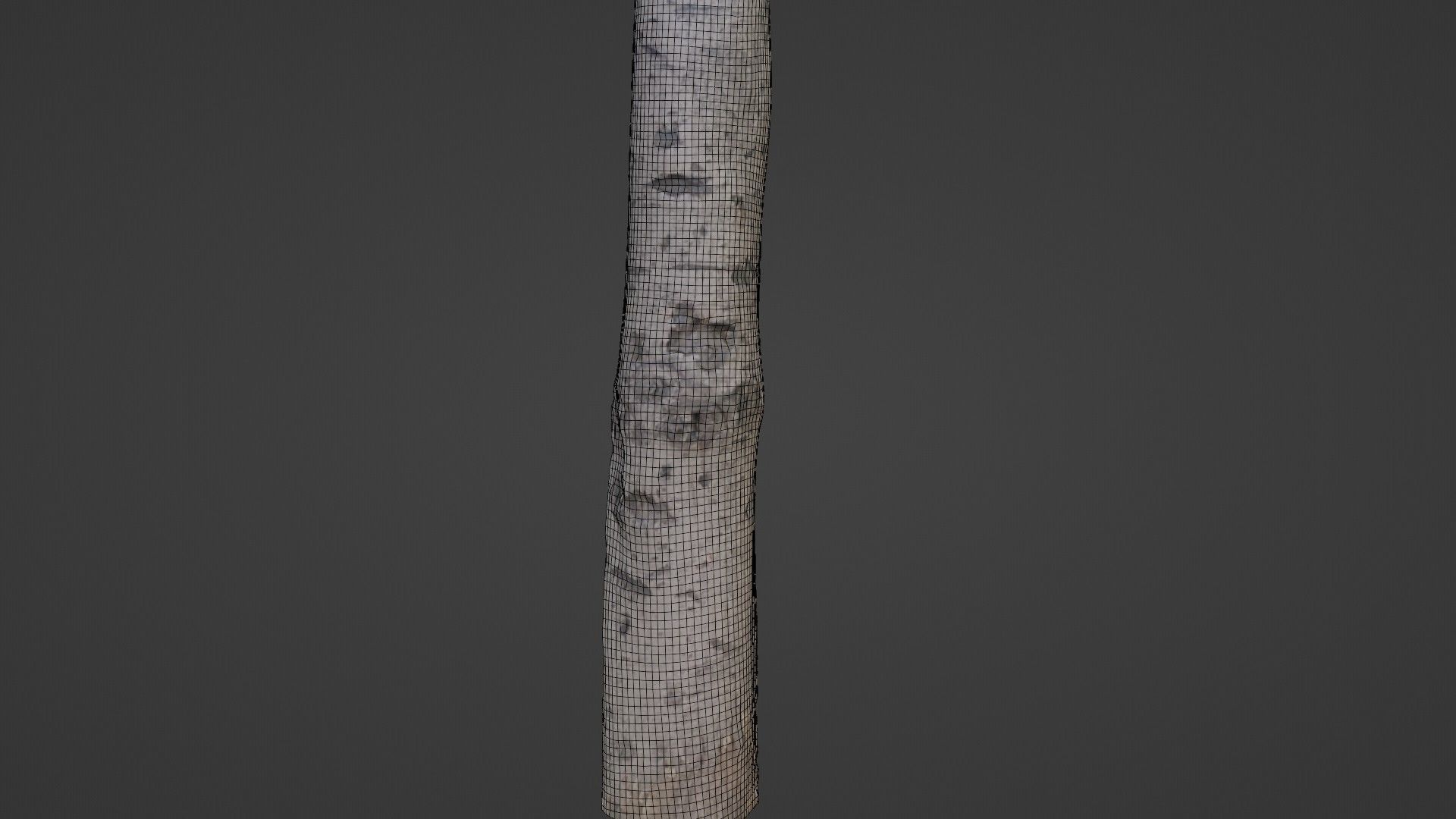 Birch Tree Bark Low-poly 3D model_2