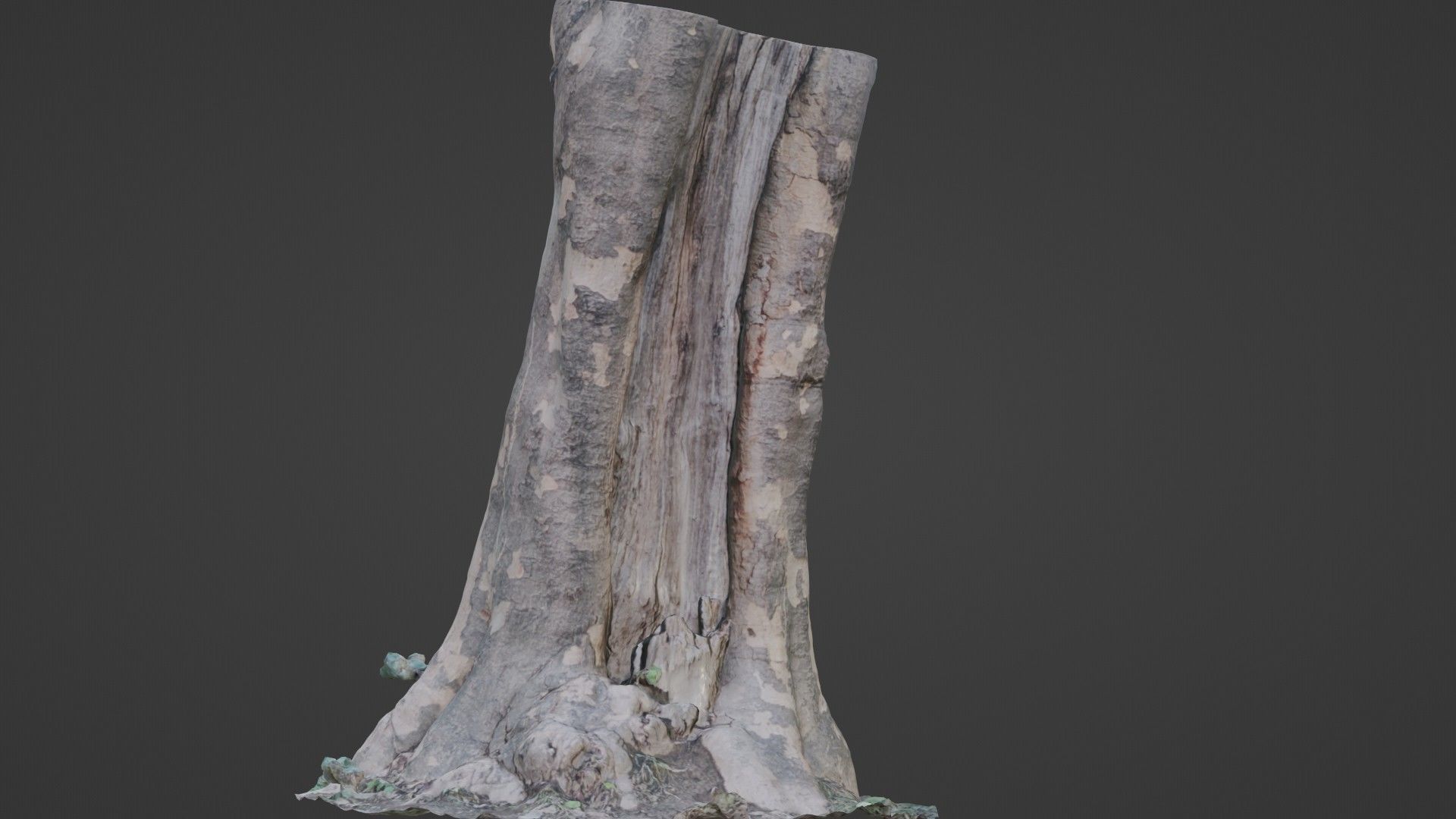 Tree Bark Low-poly 3D model_1