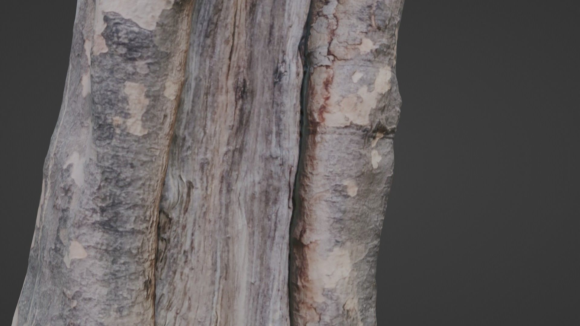 Tree Bark Low-poly 3D model_3