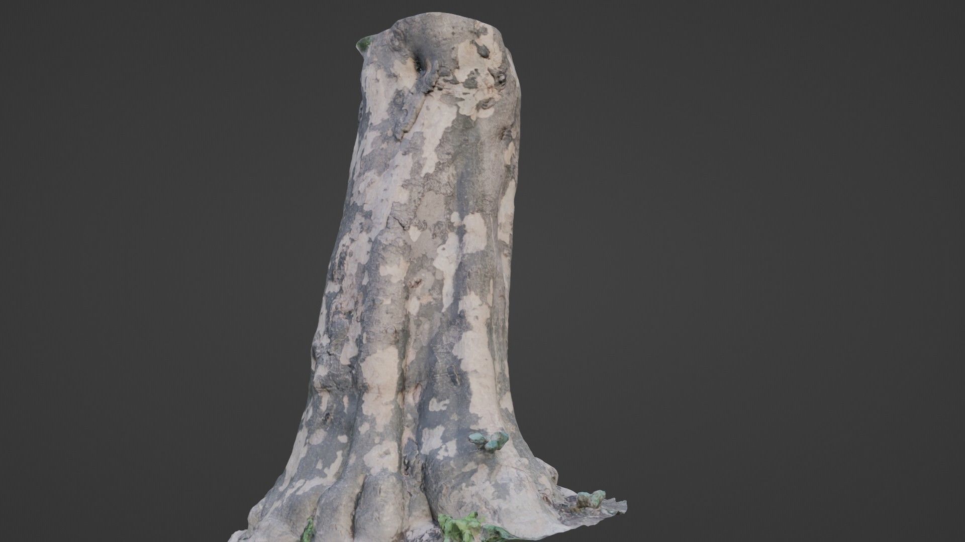 Tree Bark Low-poly 3D model_7