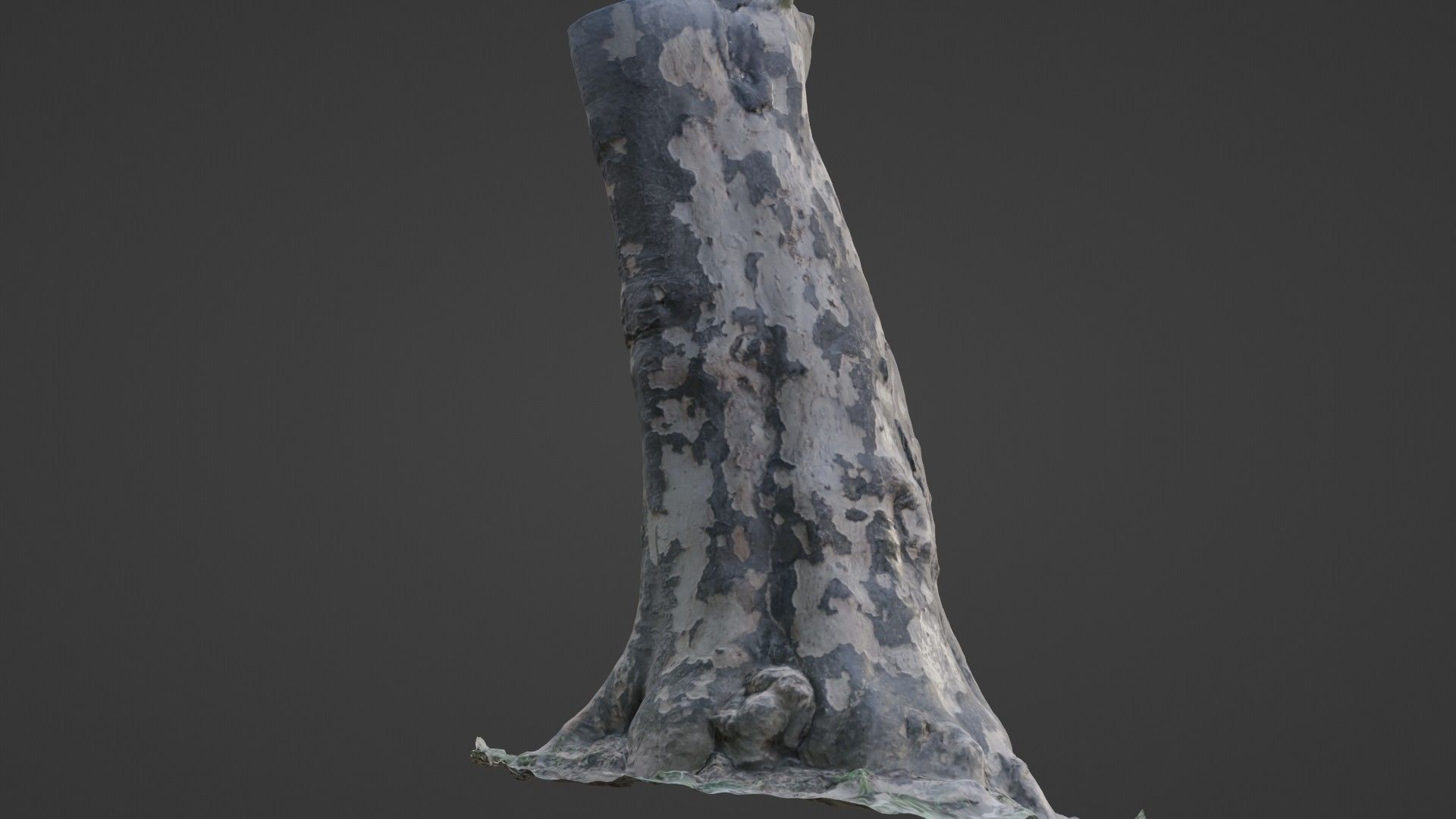 Tree Bark Low-poly 3D model_6