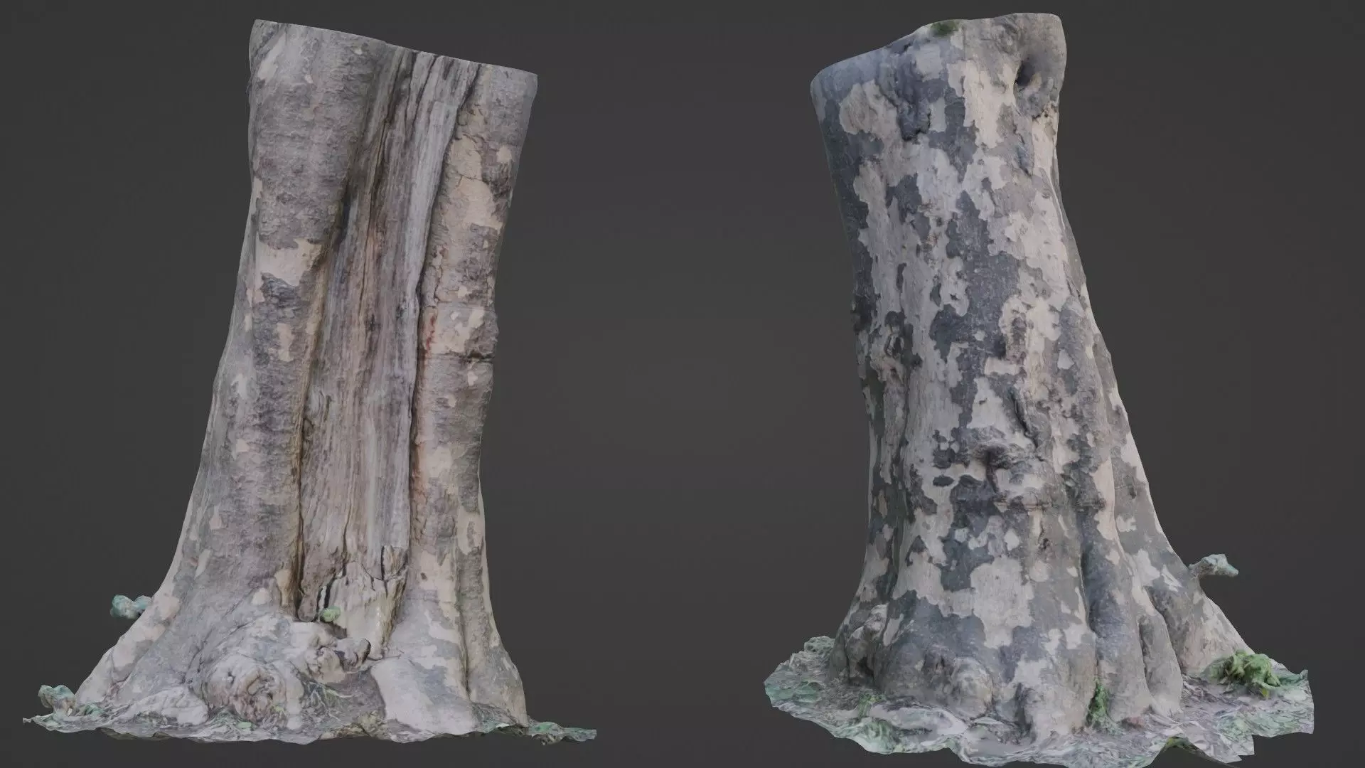 Tree Bark Low-poly 3D model_0