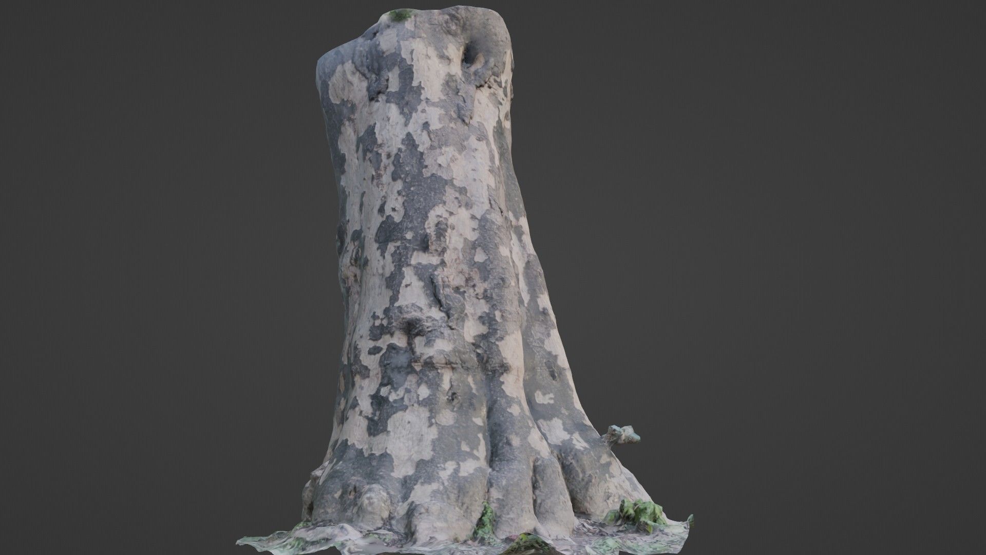 Tree Bark Low-poly 3D model_5