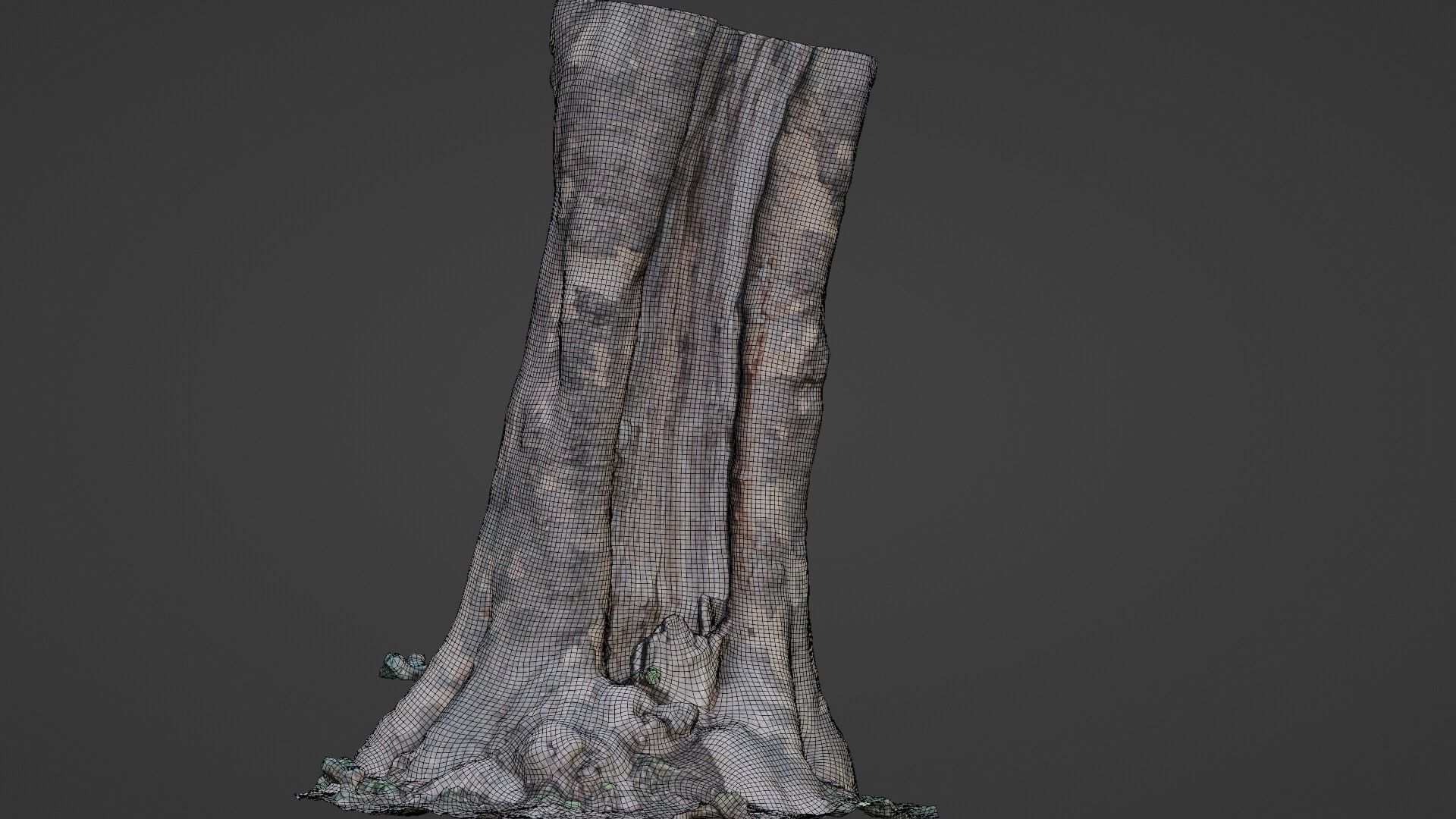 Tree Bark Low-poly 3D model_2