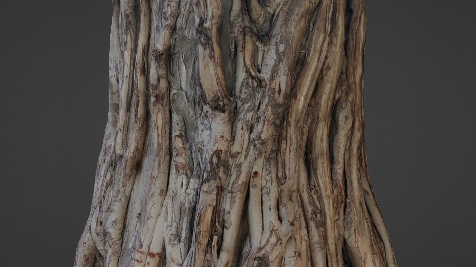 Tree Trunk Low-poly 3D model_3