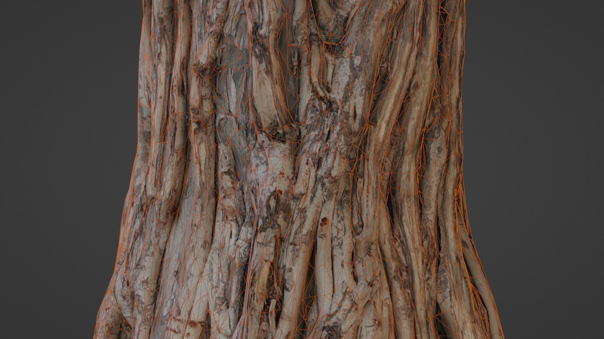 Tree Trunk Low-poly 3D model_4