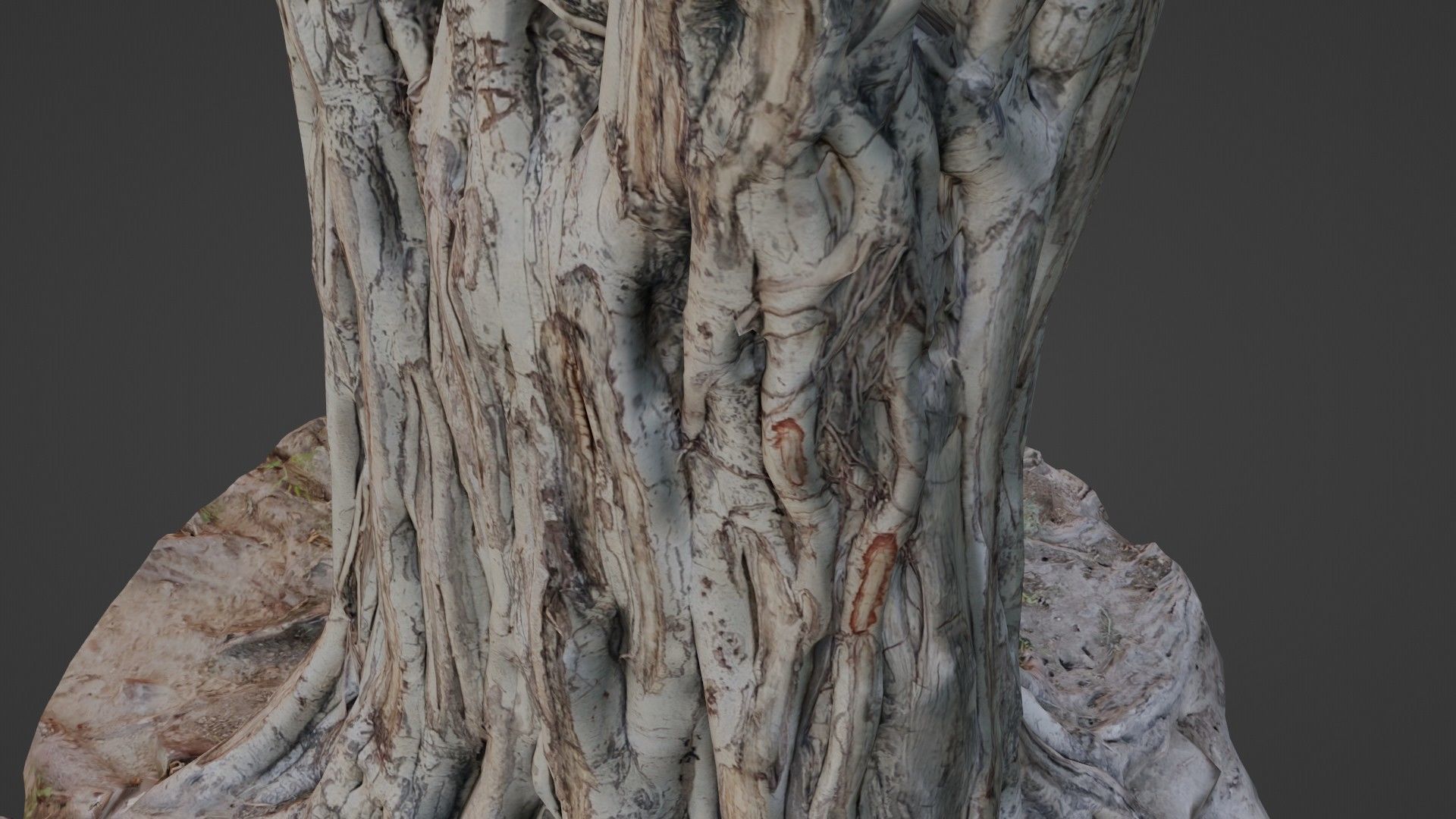 Tree Trunk Low-poly 3D model_7
